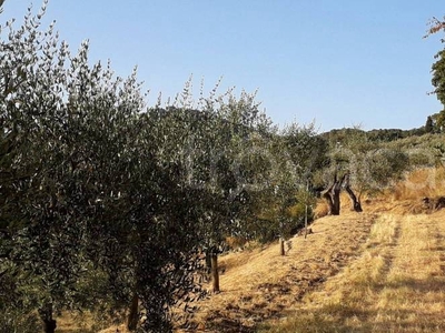 Terreno Agricolo in vendita a Scandicci