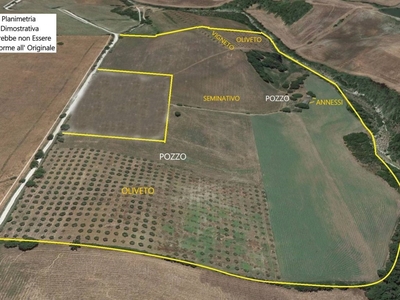 Terreno Agricolo in vendita a Scansano zona pomonte 10 km da saturnia