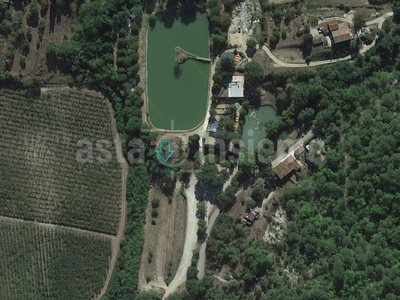 Terreno Agricolo in vendita a Vicchio località Boccagnello via Lago Viola