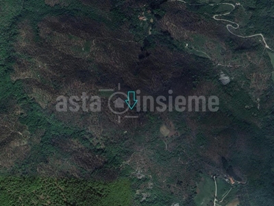 Terreno Agricolo in vendita a Vicchio località vecciano-paterno