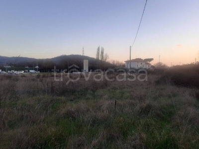 Terreno Agricolo in vendita ad Arezzo località Chiani, 13