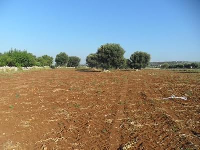 Terreno edificabile in vendita a Polignano A Mare