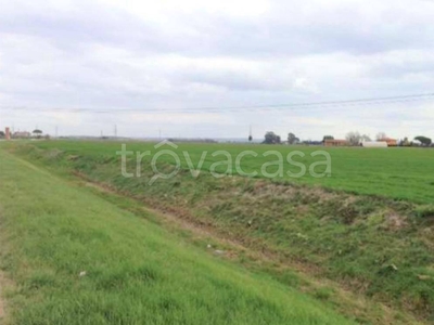 Terreno Industriale in vendita a Cascina localita Palmerino