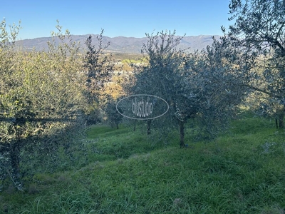 Terreno Residenziale in vendita a Figline e Incisa Valdarno