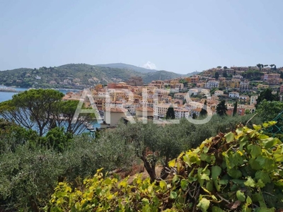 Terreno Residenziale in vendita a Monte Argentario via Aia del Dottore