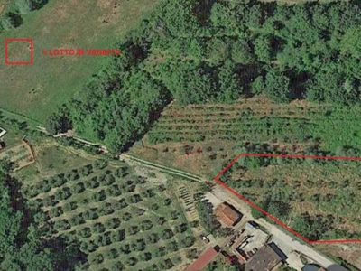 Terreno Residenziale in vendita a Torrita di Siena via monte bianco