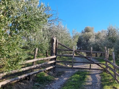 Villa con giardino a Civitavecchia