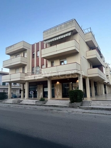 Appartamento in in vendita da privato a Giulianova via Ippolito Nievo, 30