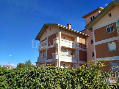 Appartamento in in vendita da privato a Irsina via Luigi Longo, 3