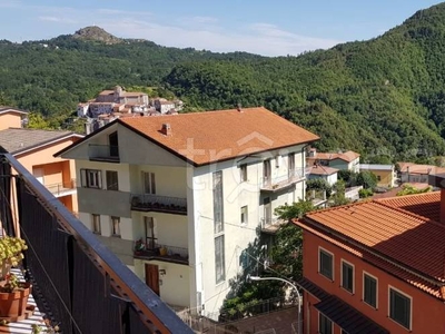 Appartamento in in vendita da privato a Lagonegro via Napoli, 56
