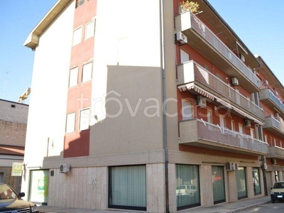 Appartamento in in vendita da privato a Lavello via Potenza, 12