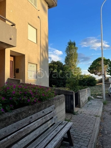 Appartamento in in vendita da privato a Santa Caterina dello Ionio via Catanzaro