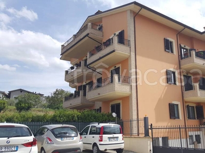 Appartamento in vendita a Basciano contrada San Agostino