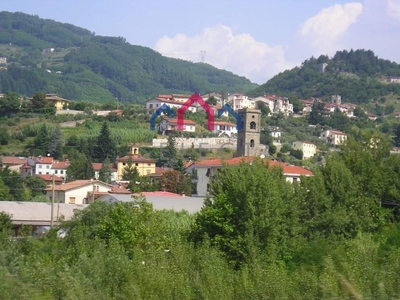 Appartamento in vendita a Borgo A Mozzano