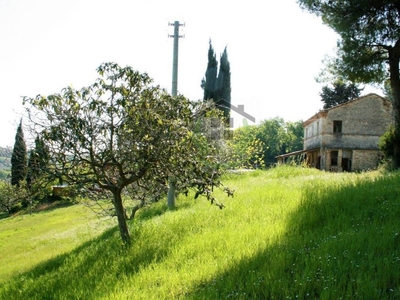 casa in vendita a Campofilone