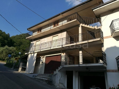 Casa Indipendente in in vendita da privato a Viggianello gallizzi, 42