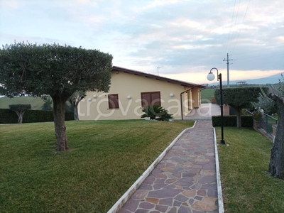Casa Indipendente in in vendita da privato ad Ancarano via San Simplicio
