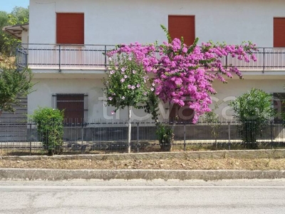 Casa Indipendente in vendita a Bellante strada Provinciale Campli Giulianova