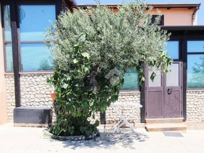 Casa Indipendente in vendita a Cropani contrada vignella