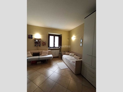 Monolocale in Affitto a Torino, zona San Donato, 510€, 30 m², arredato