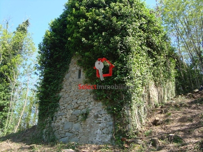 Rustico in vendita a Borgo A Mozzano