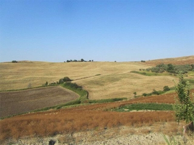 Terreni agricoli