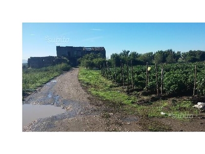 Terreno Agricolo/Coltura in vendita a Acerra, Frazione Gaudello