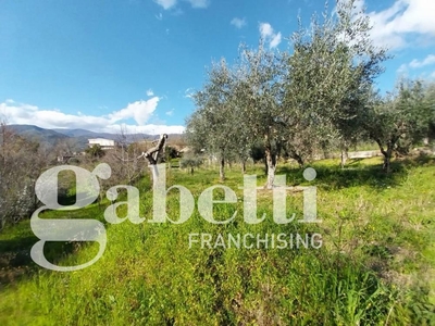 terreno agricolo in vendita a Piedimonte Matese