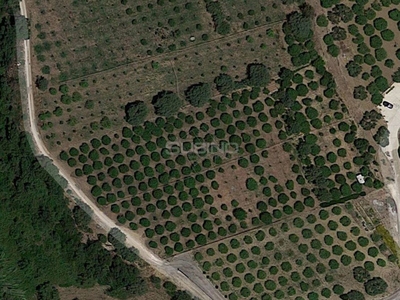 Terreno agricolo in Vendita a Siracusa, zona C/da Carancino, 30'000€, 7000 m²