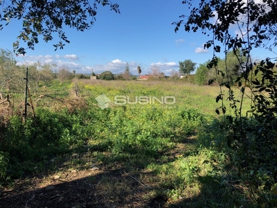 Terreno agricolo in Vendita a Siracusa, zona Tivoli, 14'000€, 3510 m²