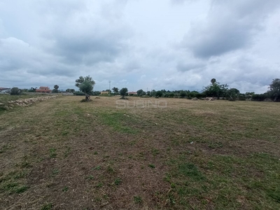 Terreno agricolo in Vendita a Siracusa, zona Tivoli, 22'000€, 9850 m²