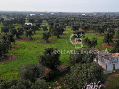 terreno agricolo in vendita a Ostuni