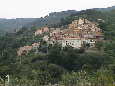Villa Bifamiliare in in vendita da privato a Feroleto Antico via Castello, 26