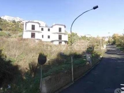 Villa Bifamiliare in in vendita da privato a Picerno via Piana