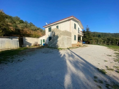 Villa Bifamiliare in vendita a Platania c/Da Foresta, 51