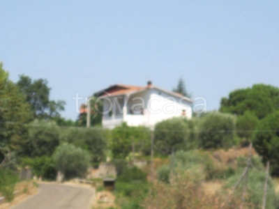 Villa in in vendita da privato a Rotondella contrada Trisaia, 50