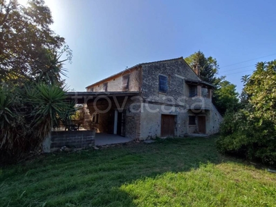 Villa in vendita a Morro d'Oro via Padova, 36