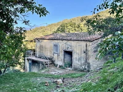 Rustico casale in vendita a Marciana Livorno Poggio