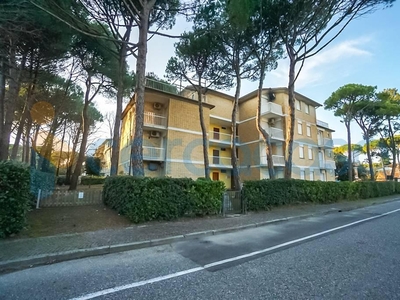 Appartamento Bilocale da ristrutturare, in vendita in Via Dei Lauri, San Michele Al Tagliamento