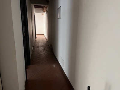 Attività commerciale in Affitto a Pisa, zona Sant'Antonio, 1'000€, 80 m²