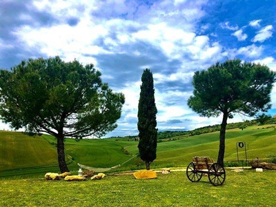 Casale Rustico in Vendita a Monte Castello di Vibio: Privacy e Tranquillità Immersi nella Natura