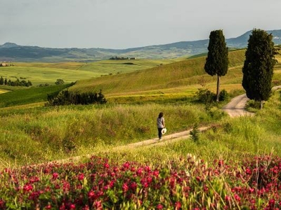 Casale Rustico in Vendita a Monte Santa Maria Tiberina: Tranquillità e Privacy nel Cuore della Natura