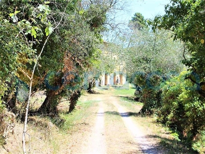 Rustico casale in vendita a Buti