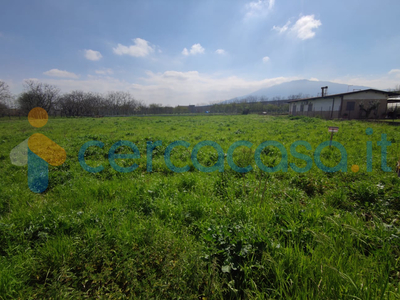 TERRENO AGRICOLO