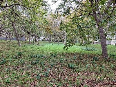 Terreno agricolo in vendita a Camposano