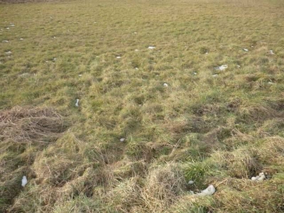 Terreno agricolo in Vendita a Capannori Parezzana