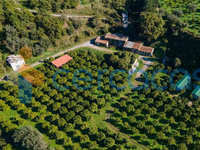 Terreno agricolo in vendita a Ficarra