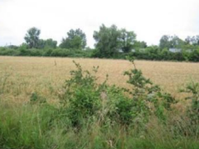 Vendita Terreno Agricolo Precenicco