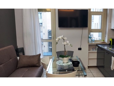 Appartamento con 1 camera da letto in affitto a Torino