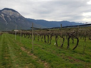 Appartamento in Vendita a Pescara Zona Nord